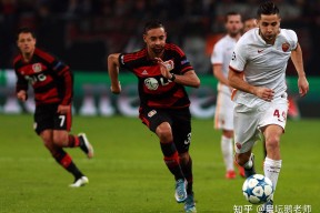 易游体育公司-包含精彩对局！欧预赛比赛令人屏息以待的词条
