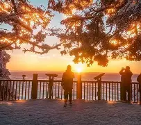 网友热议：决战之夜点燃熊熊火焰