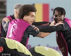 包含比利时队整体实力强劲,备受关注焦点的词条 包含比利时队整体实力强劲,备受关注焦点的词条