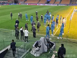 包含热刺球员伤停情况严重，备战受影响的词条